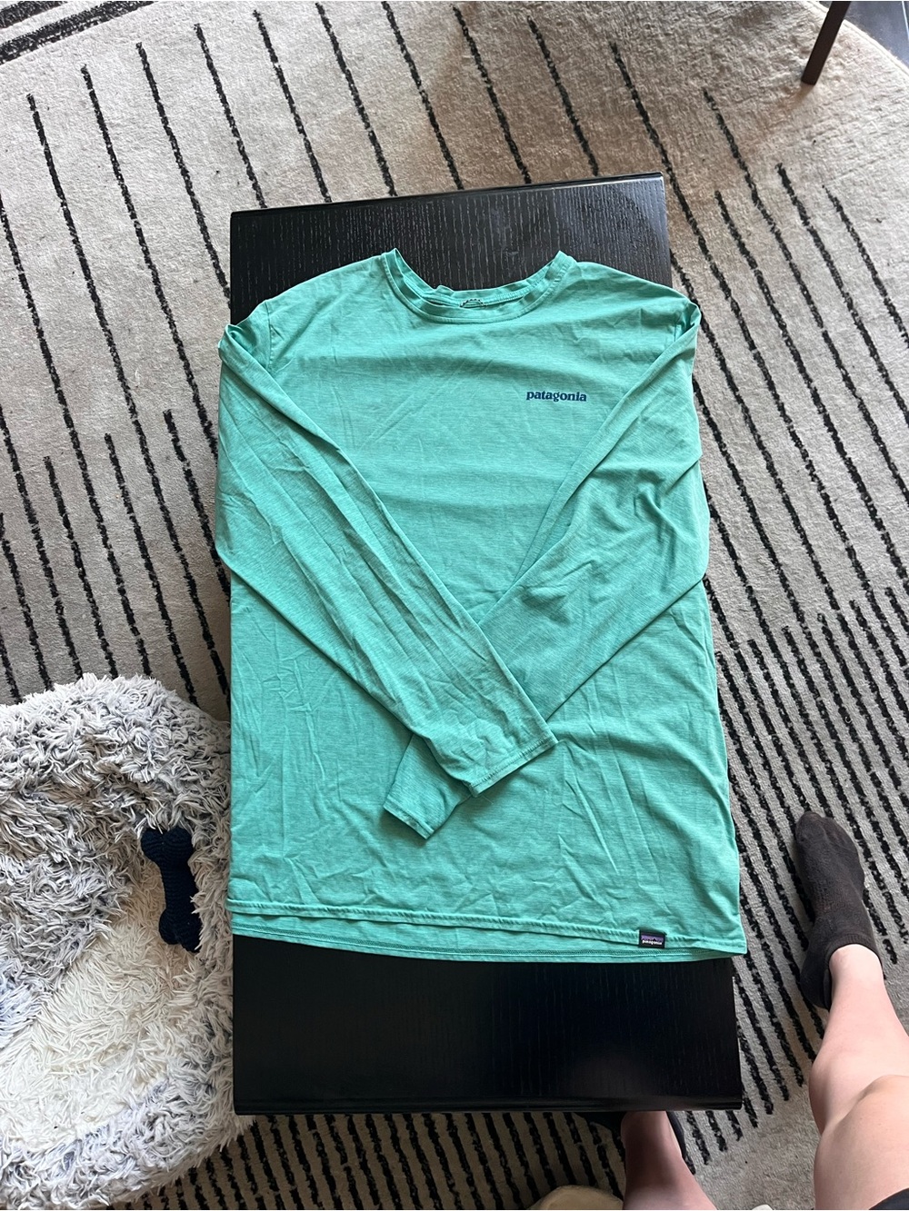 Patagonia Men's Long-Sleeve Crew in Seafoam Green